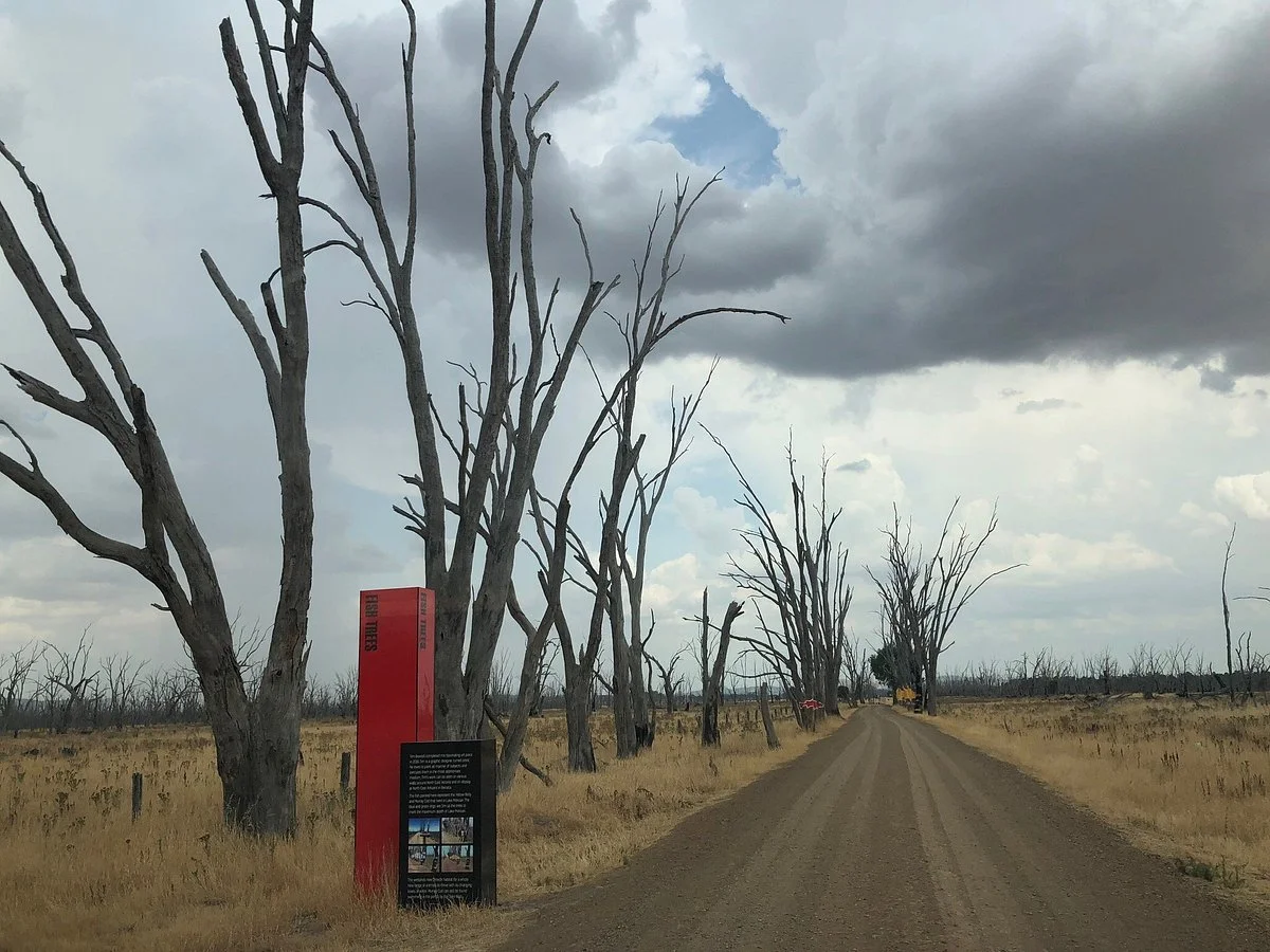 Winton Wetlands Water Tank art