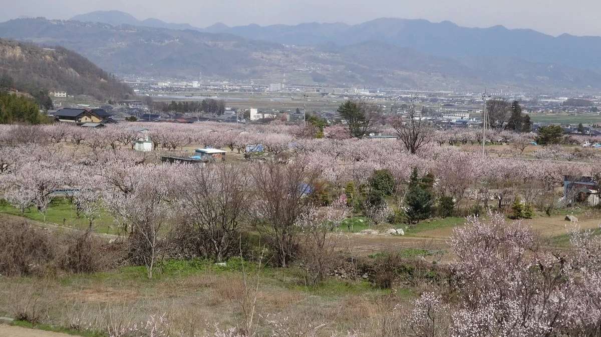 Kamihira Observation Deck