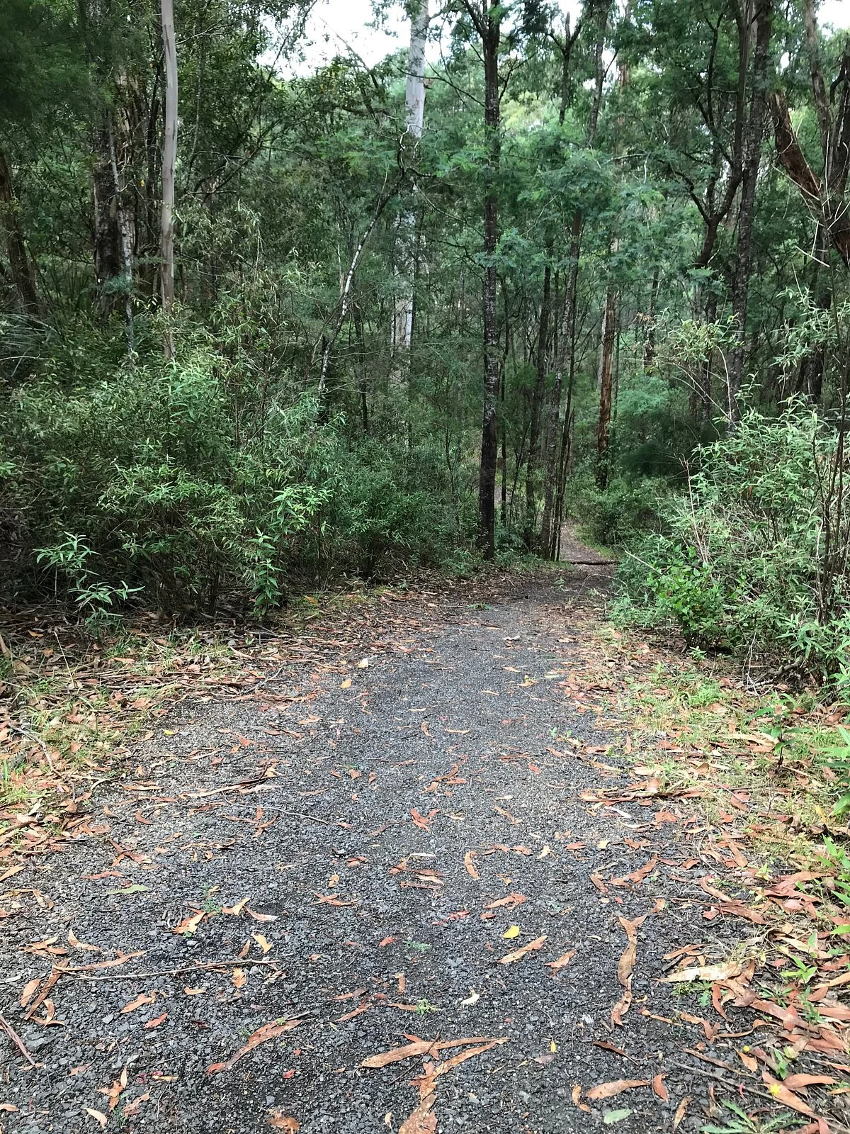 Nangara Reserve