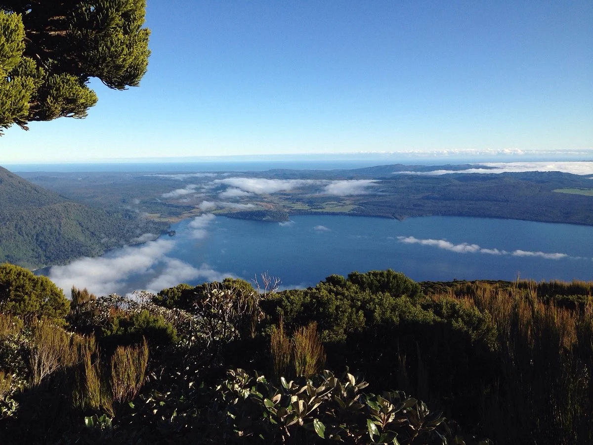 Te Kinga Summit Walk