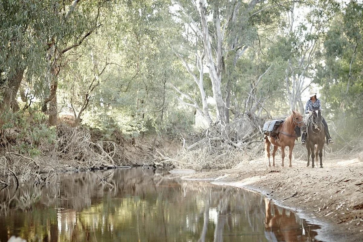 King River