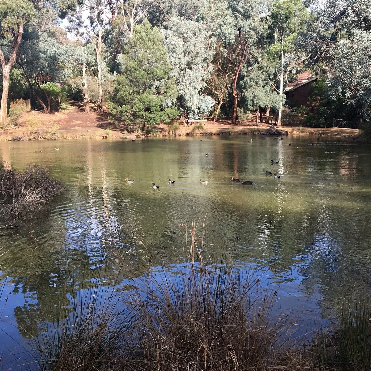 Dalvida Reserve