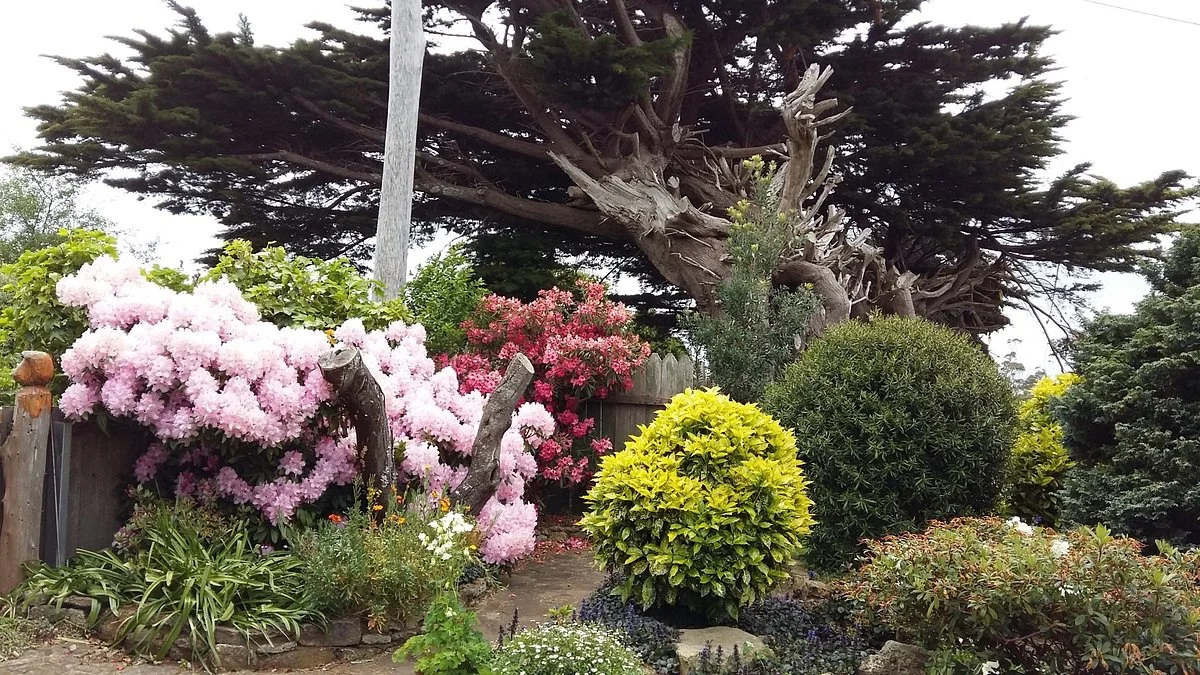 Seaview Farm