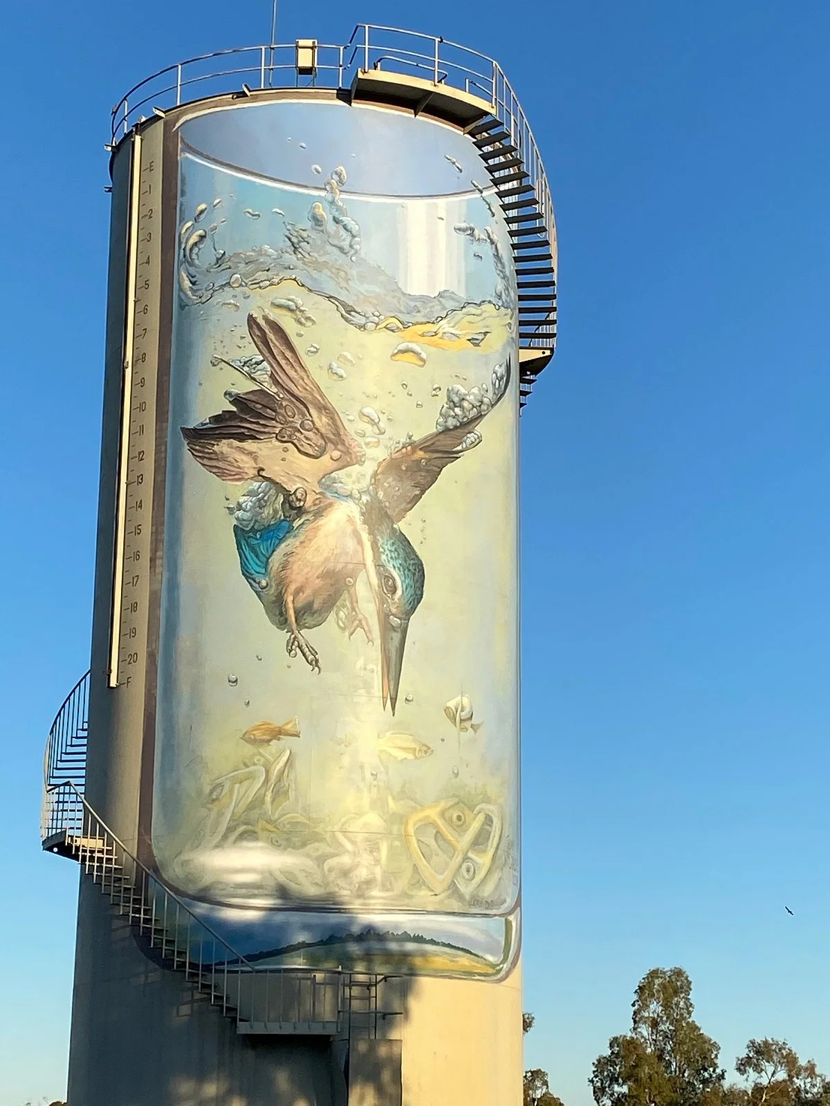 Gulargambone Water Tower Art