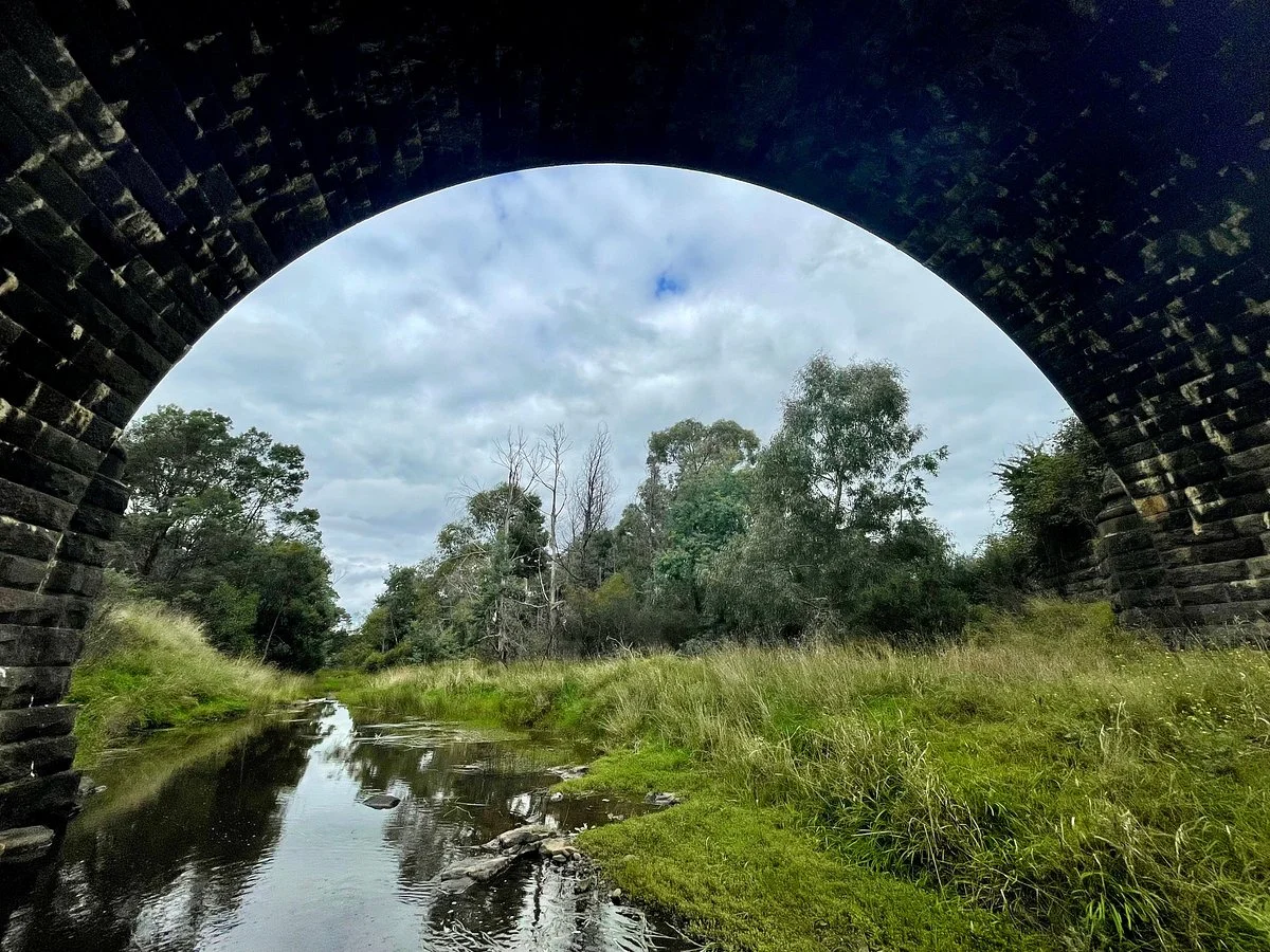 Walter J Smith Reserve