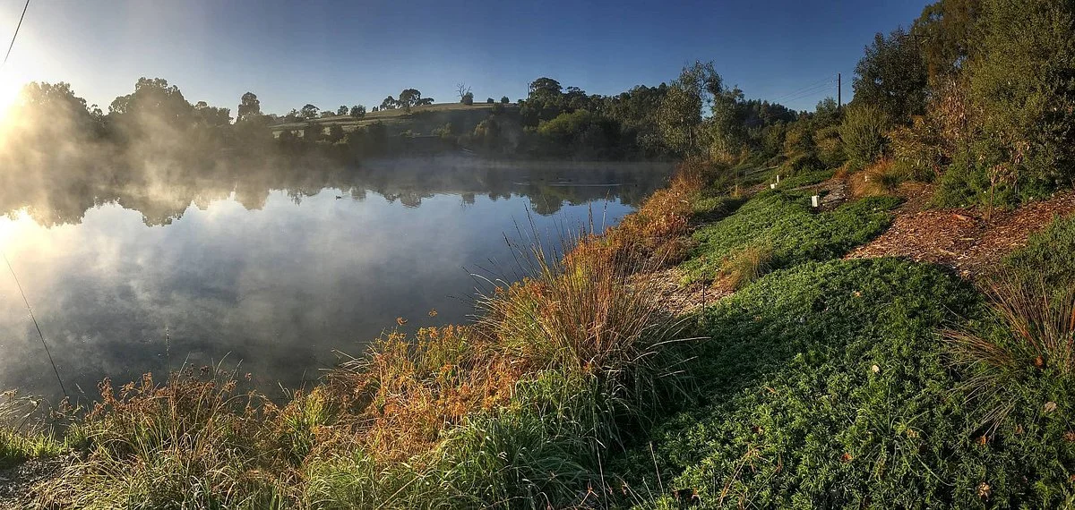 Gleeson Wetlands