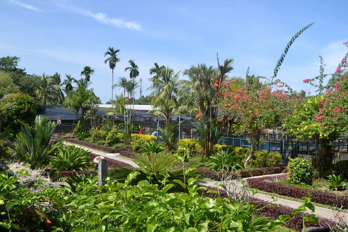 Sandakan Crocodile Farm