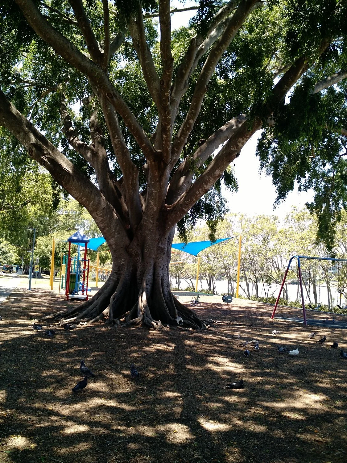 Orleigh Park