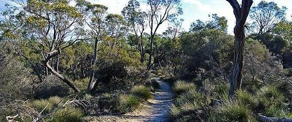 Pomponderoo Hill Lookout