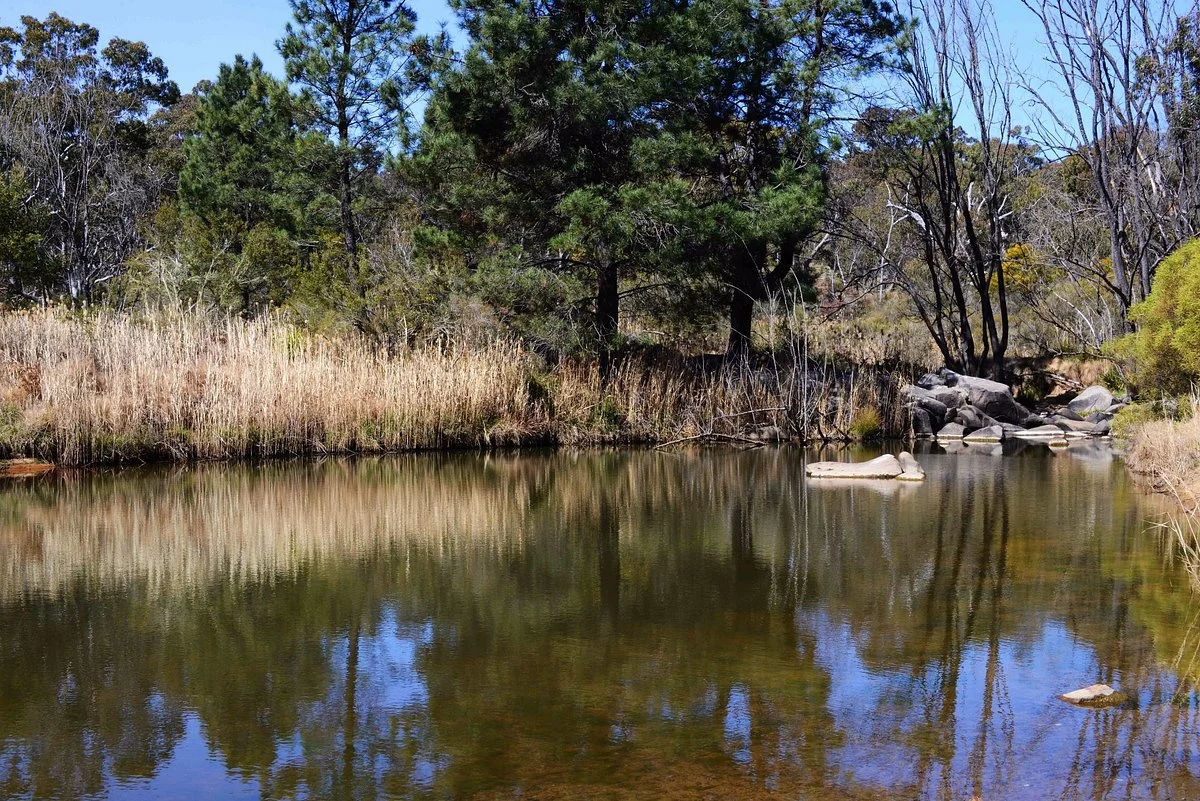 Wooldridge Receation and Fossicking Area
