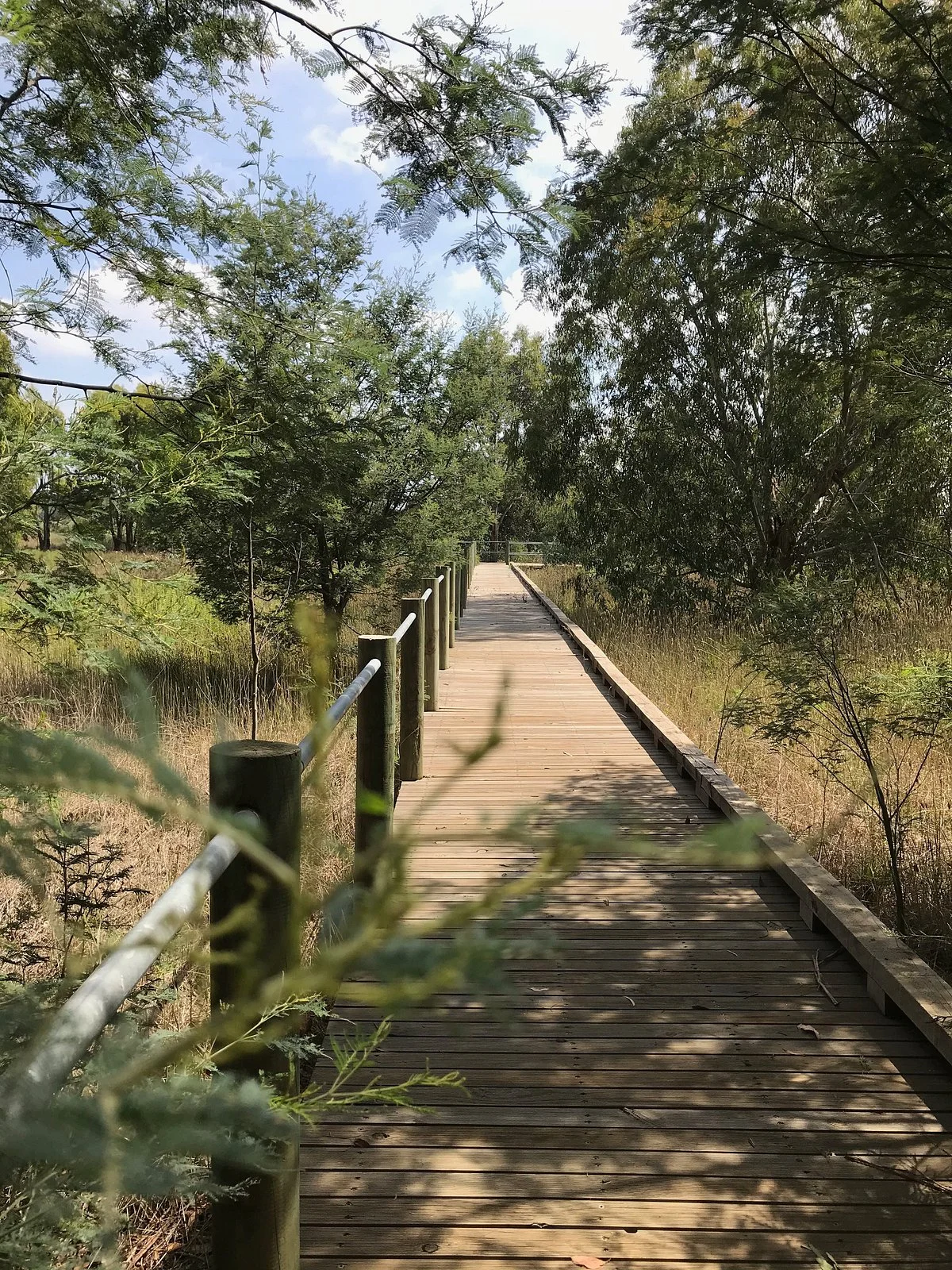 Macalister Wetland Reserve