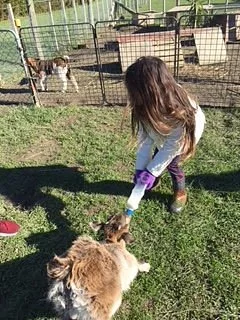 Funky Farm