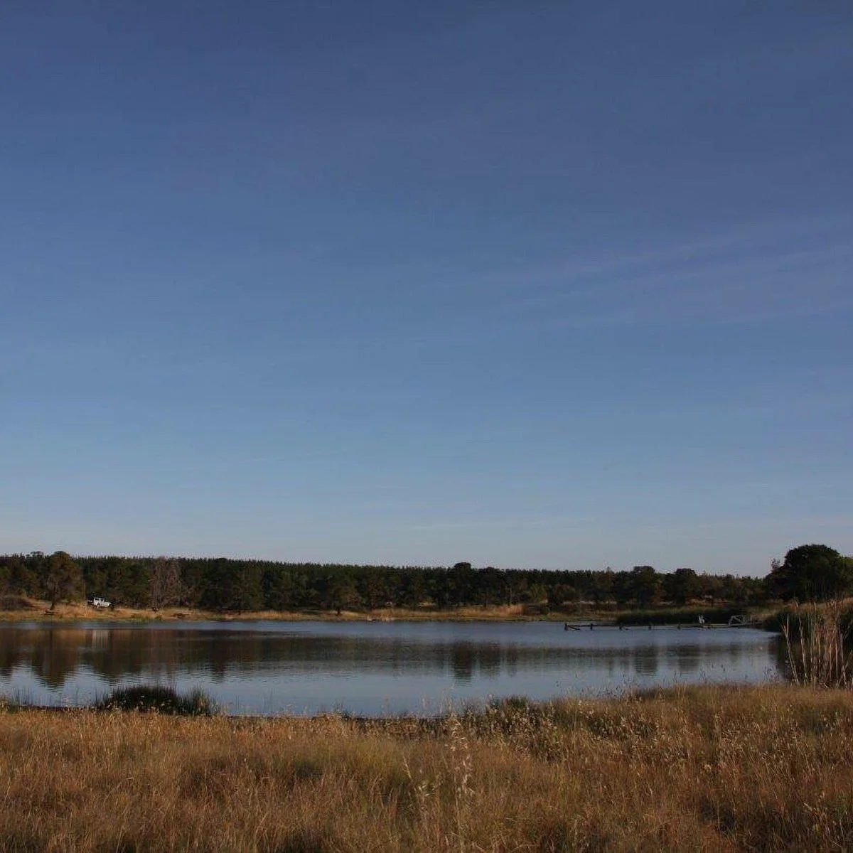 Serviceton Reservoir