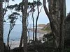 Carty Reserve