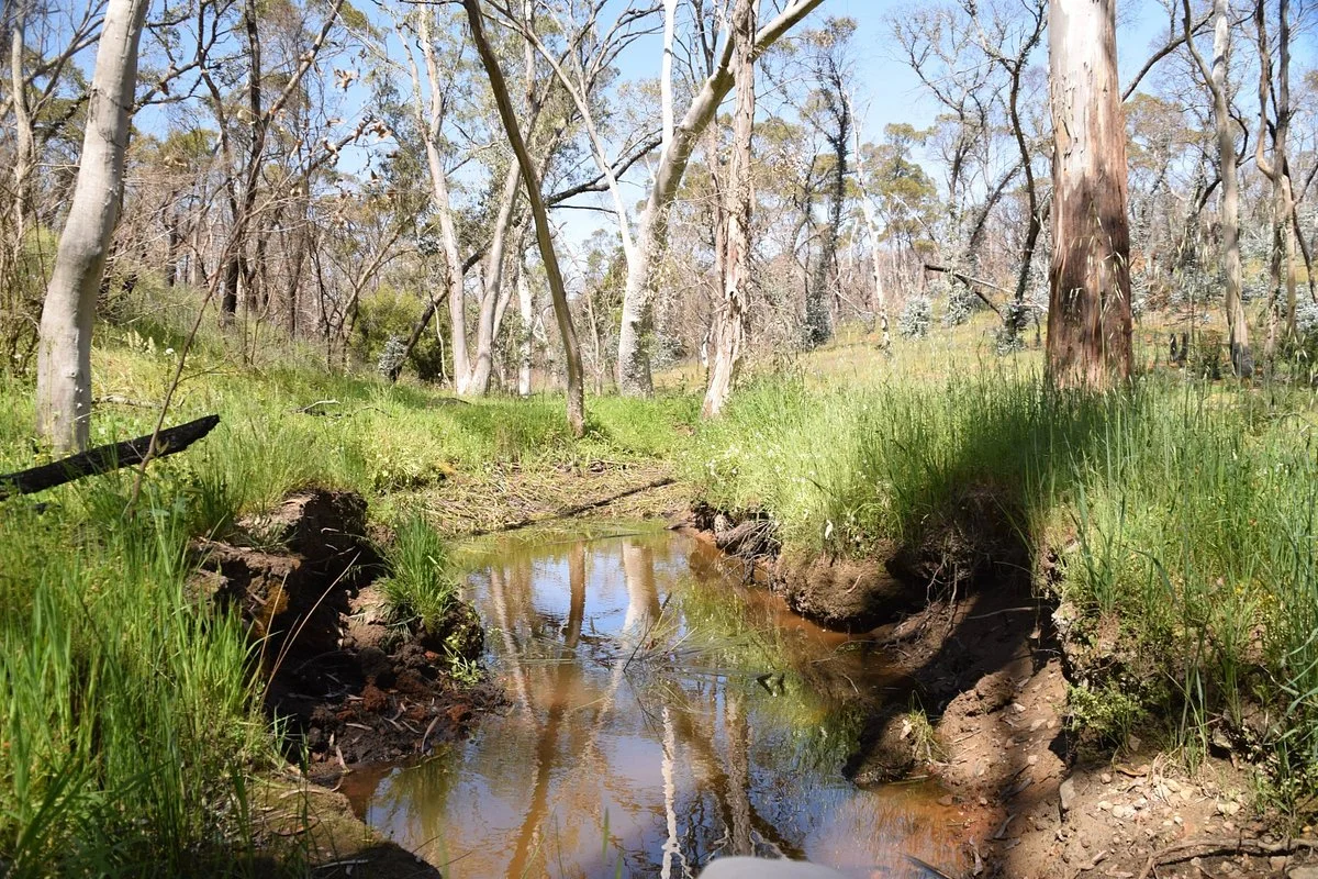 Roachdale Nature Trail