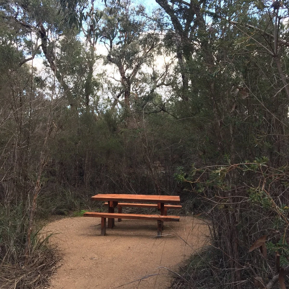 Stringybark Picnic Area