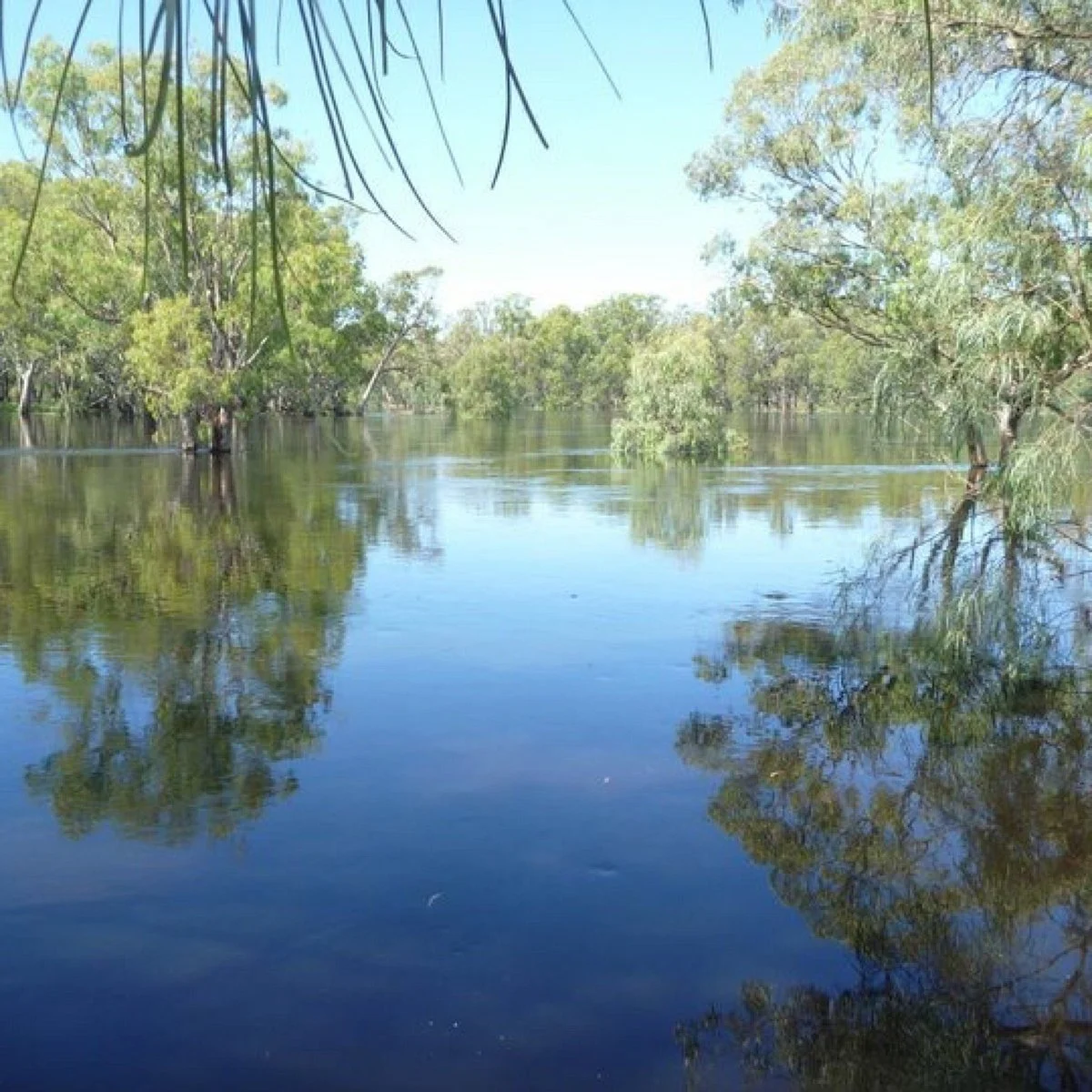 Murrumbidgee Junction