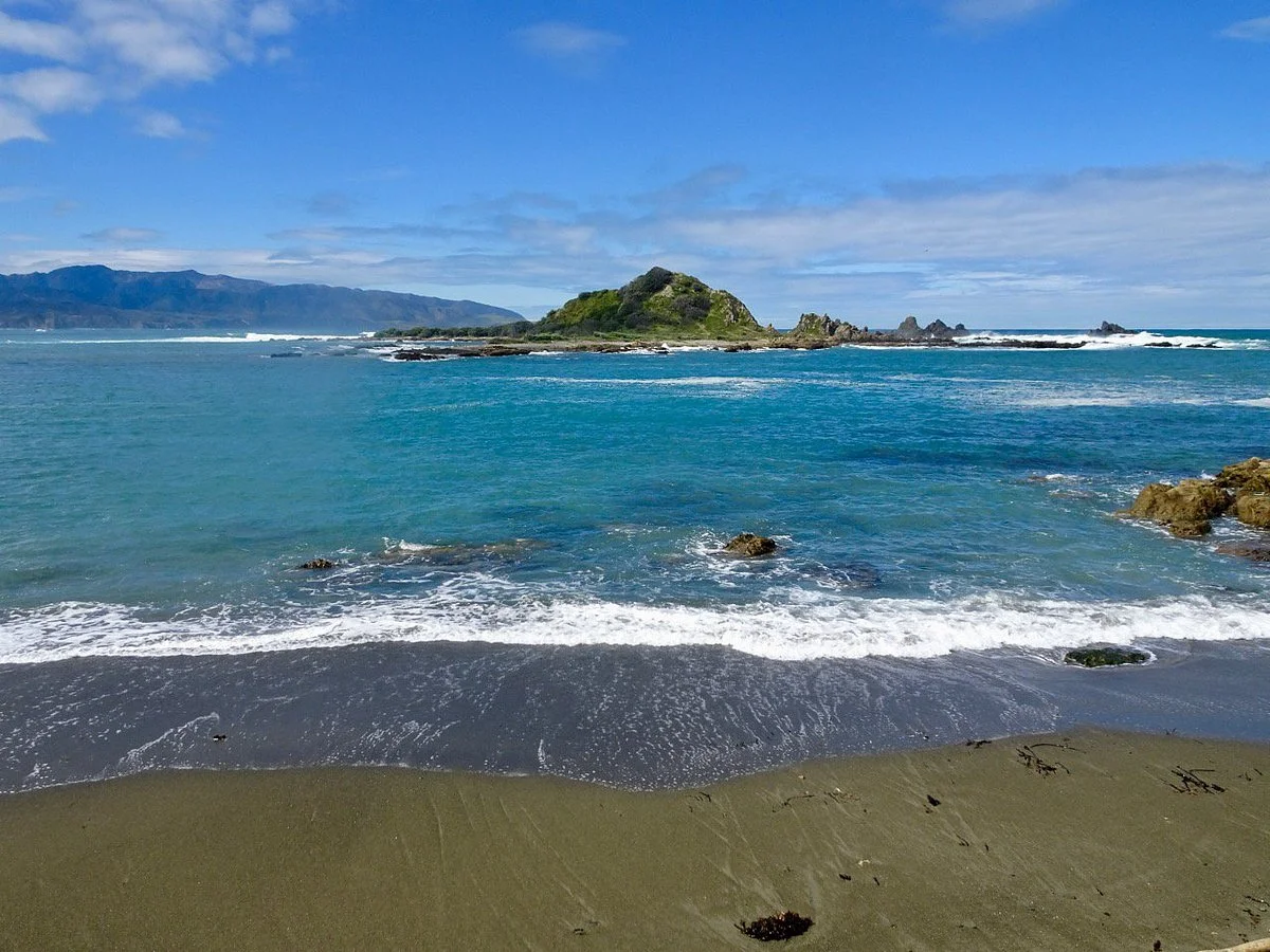 Taputeranga Marine Reserve