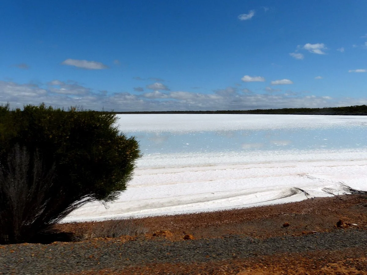 Lake Grace Lookout