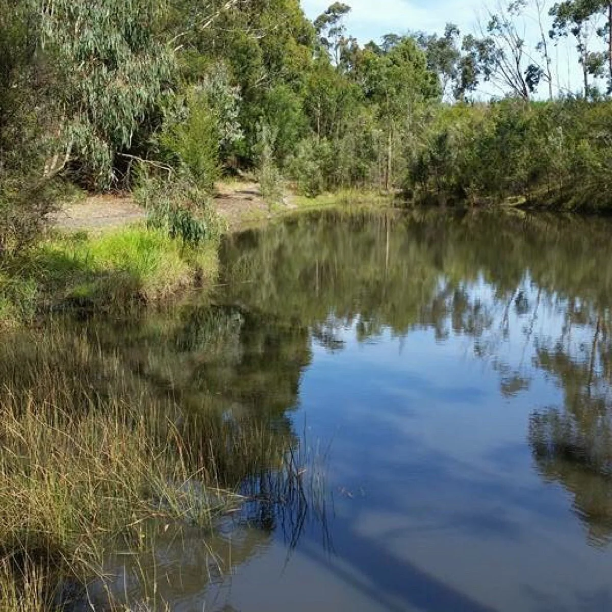 Crinigan Bushland Reserve
