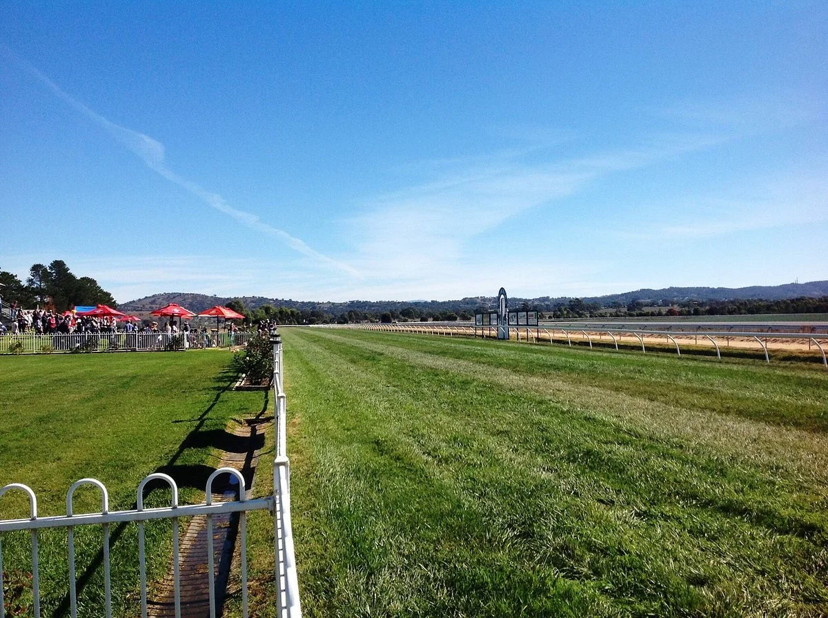 Ararat Turf Club