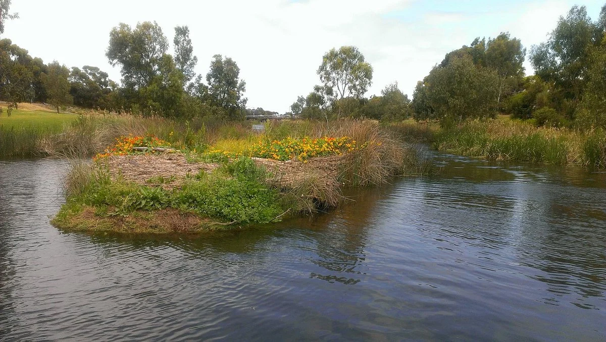 Breakout Creek Wetlands