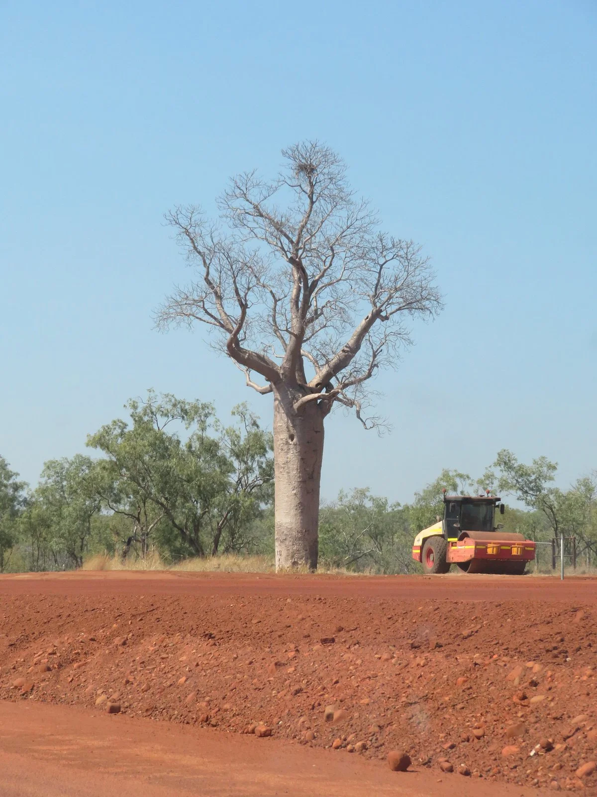 Durack Memorial