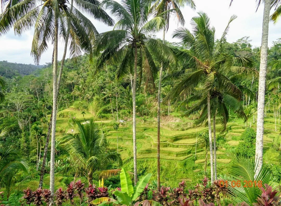 Satria Agrowisata