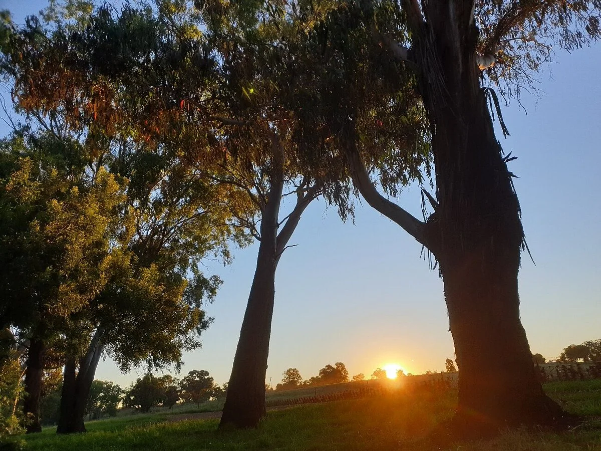 Farleigh Beach Reserve