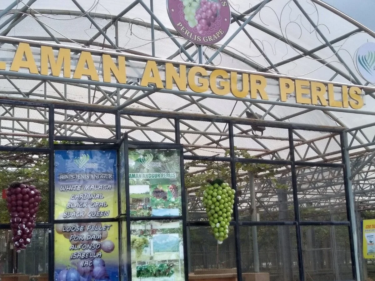 Taman Anggur Perlis