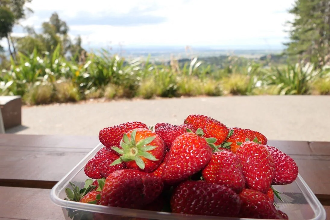 The Fruit Shop