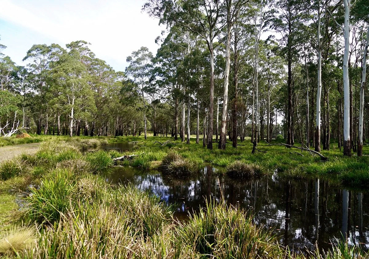 Mummel Gulf National Park