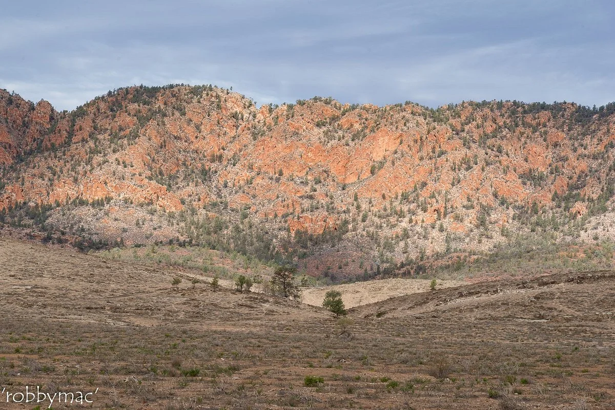 Pugilist Hill Lookout