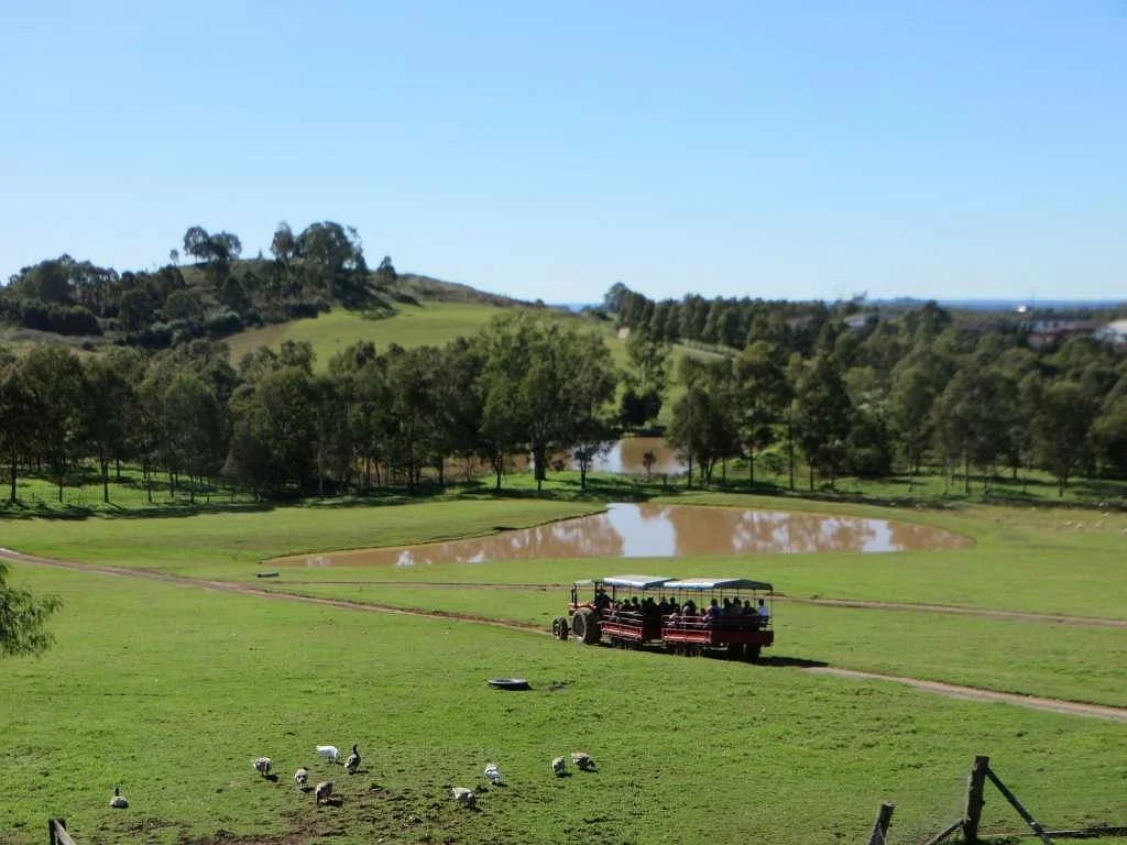 Calmsley Hill City Farm