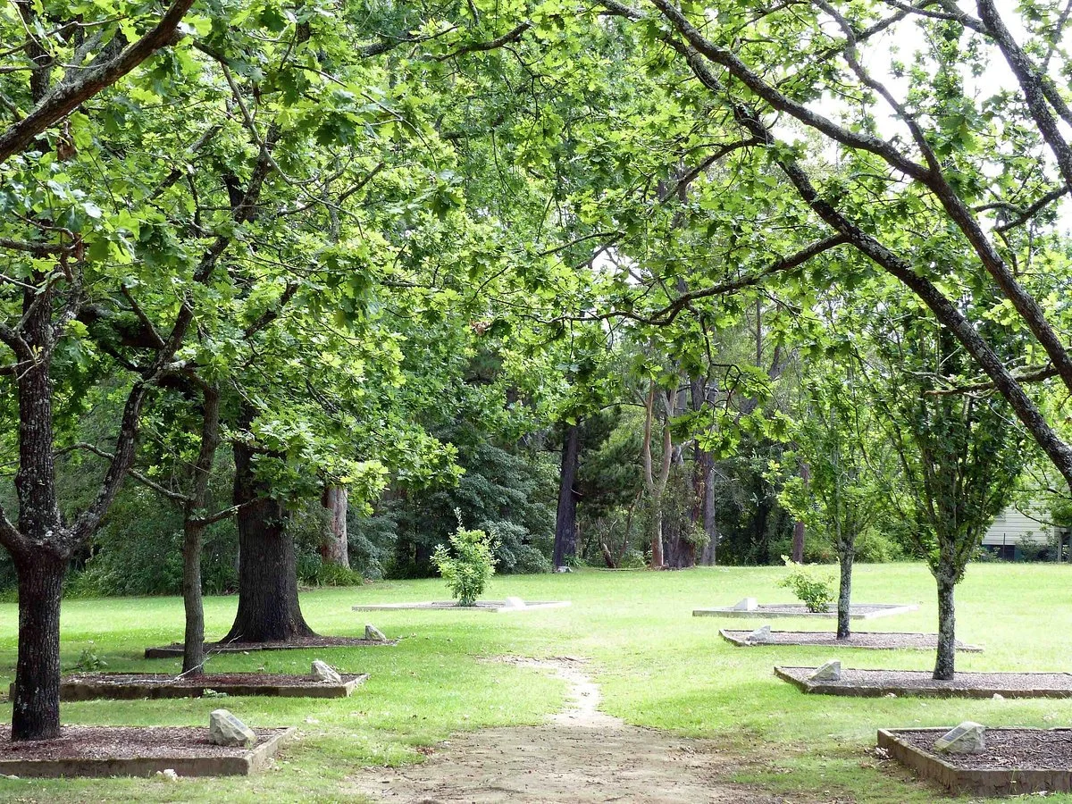 Corridor of Oaks