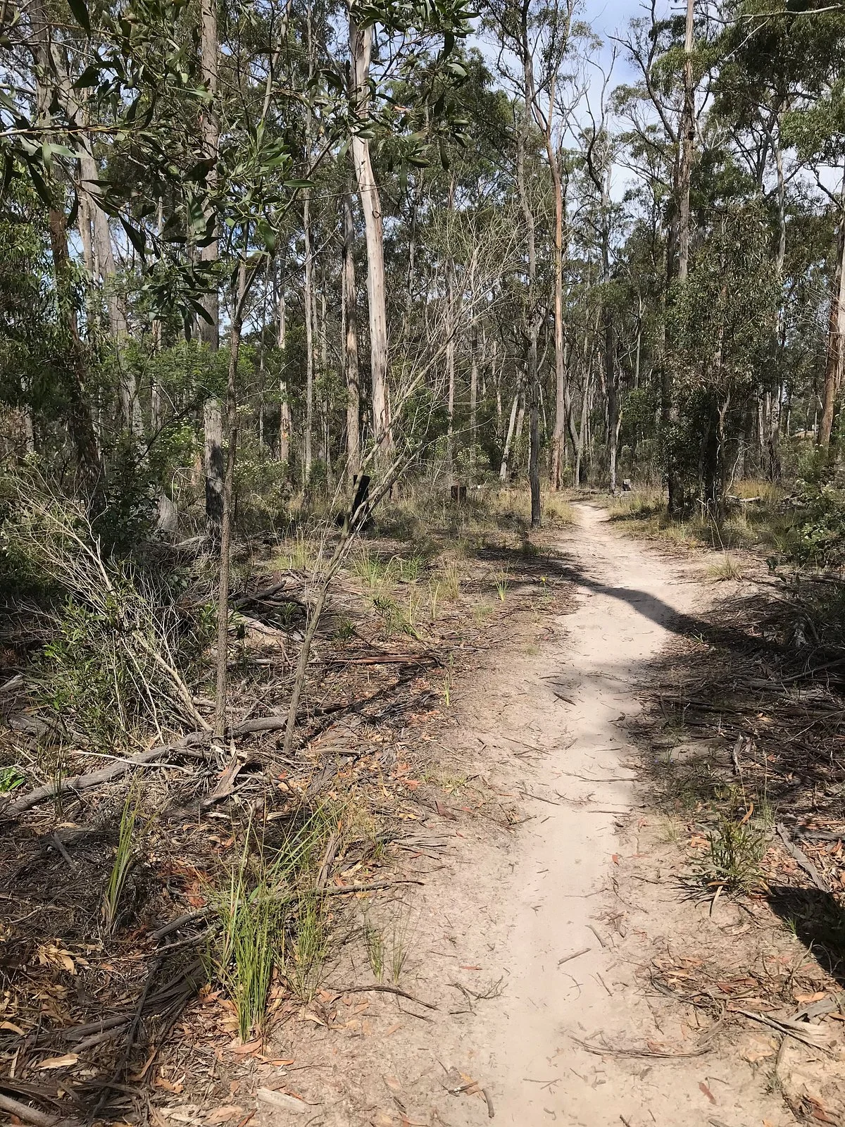 Colquhoun State Forest