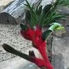 Junuy Juluum National Park