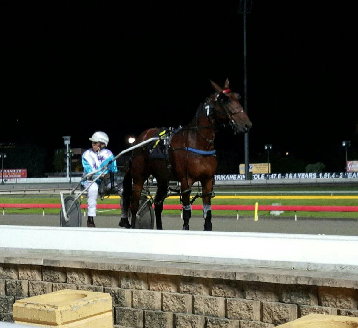 Albion Park Harness Racing Club