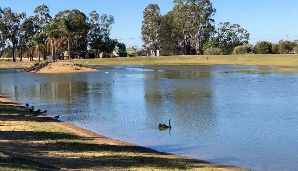 Millmerran Factory Dam Park