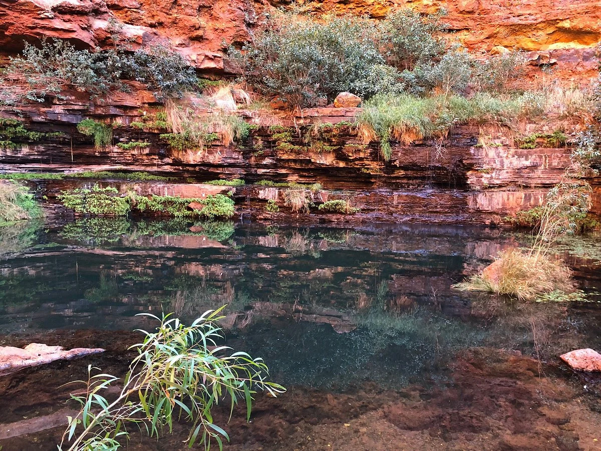 Circular Pool