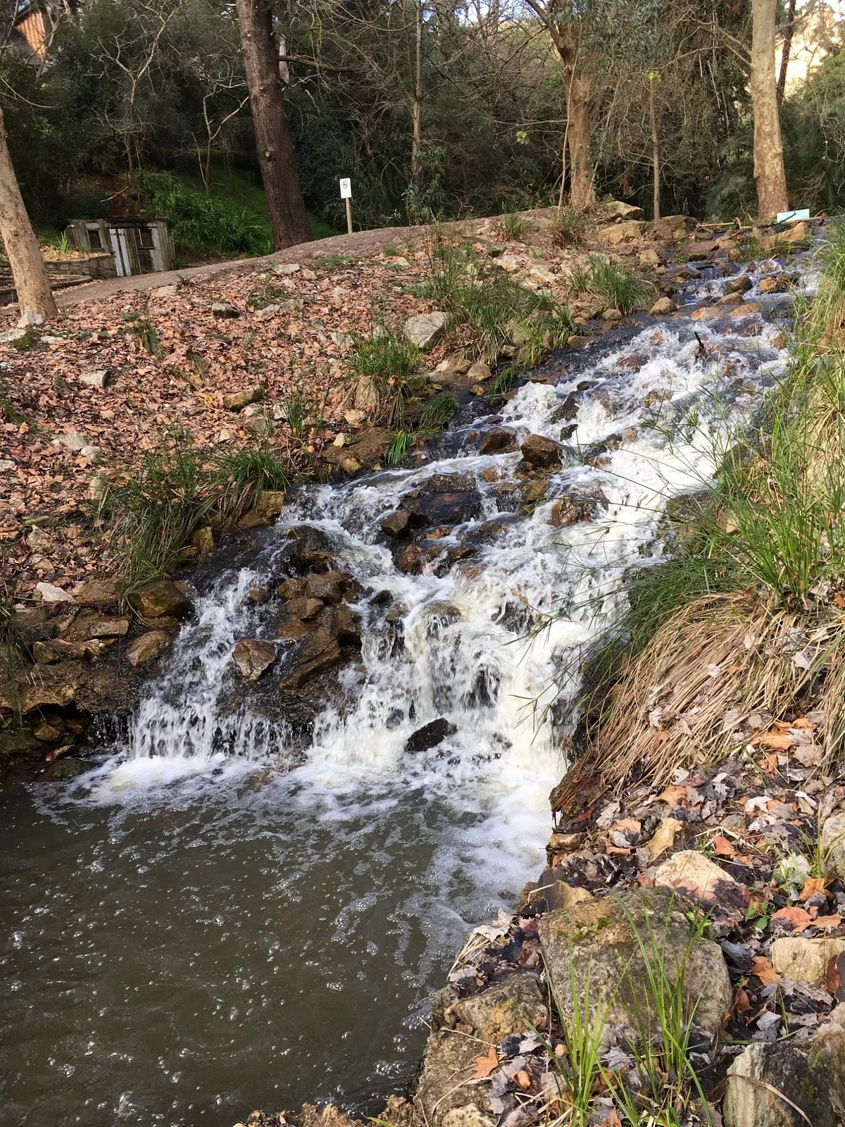 Michael Perry Botanic Reserve