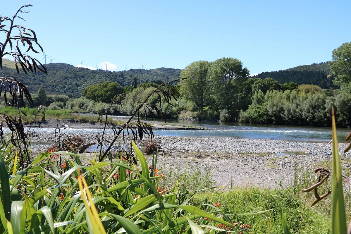 Pohangina River
