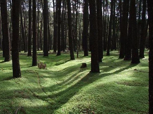 Gooralong Park