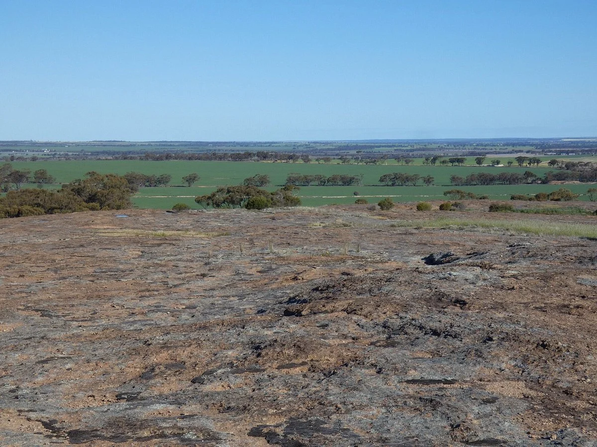 Roe Lookout