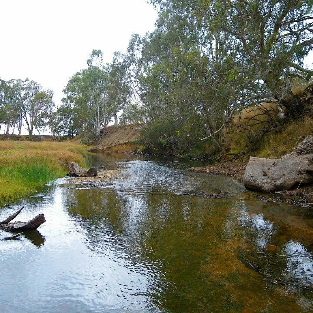 Glenelg River