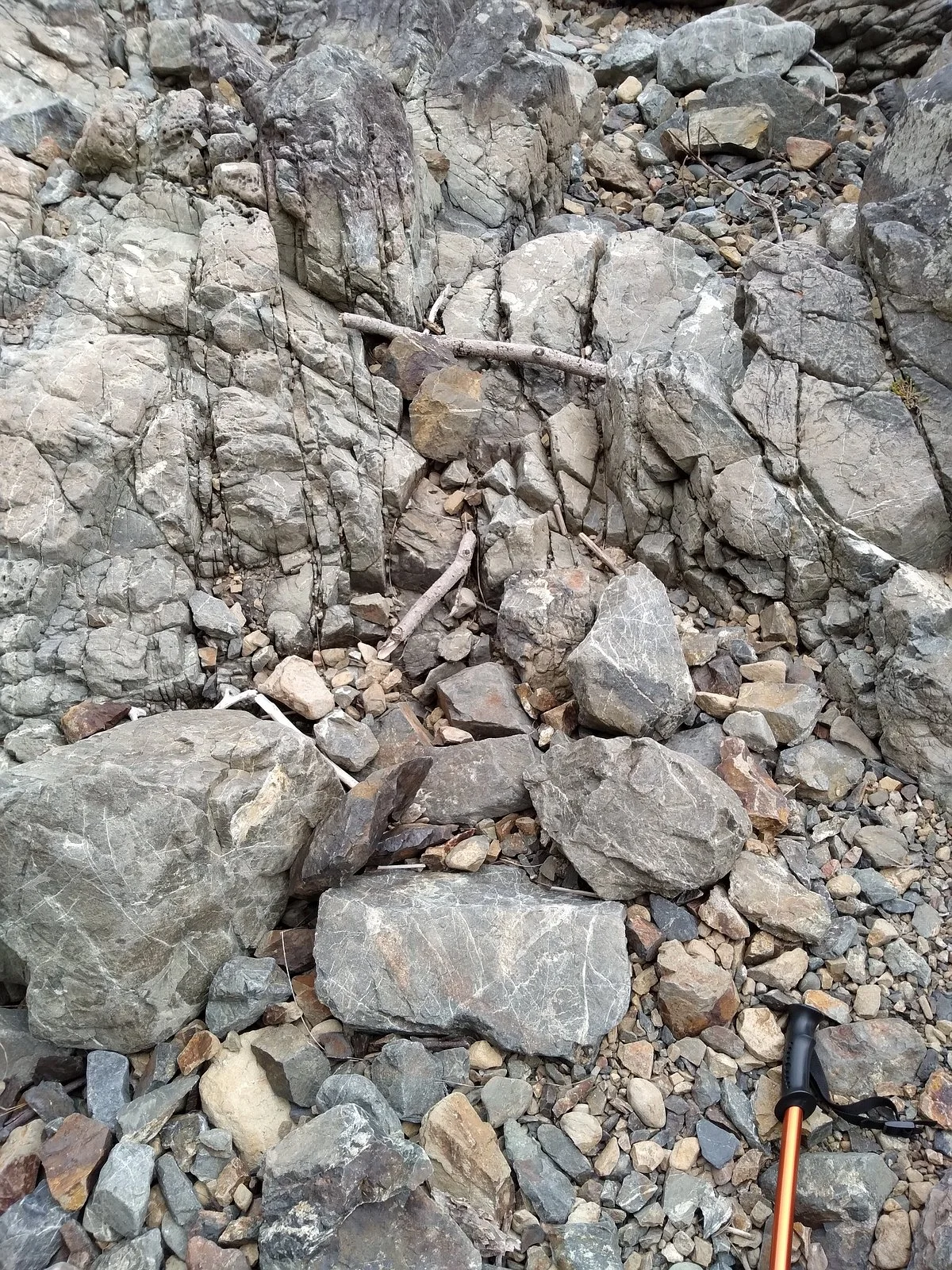 Makara Walkway