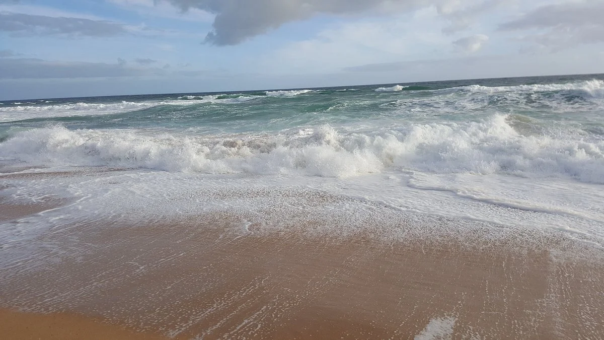 Wonthaggi Heathland and Coastal Reserve
