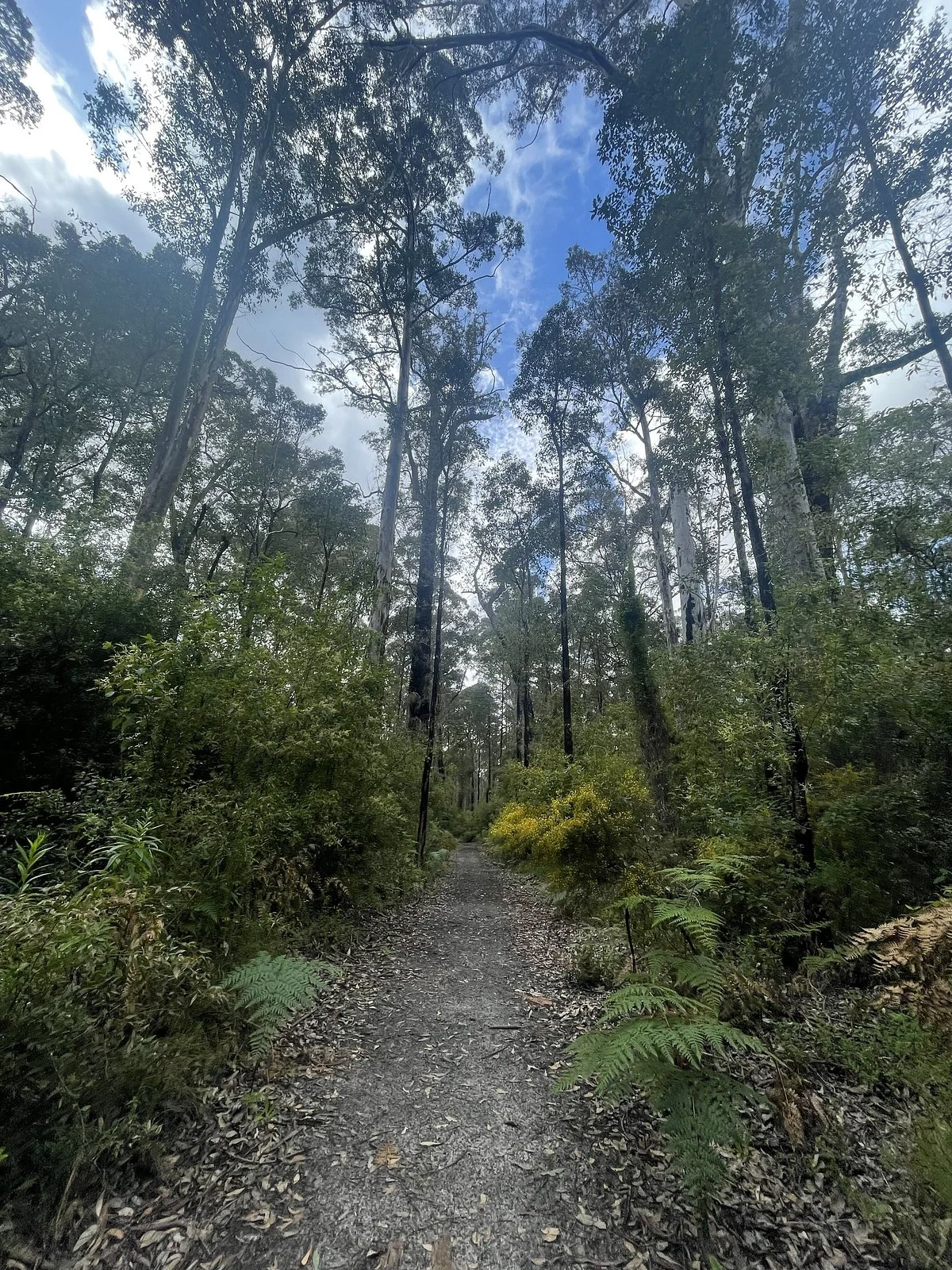 Boorara Gardner National Park