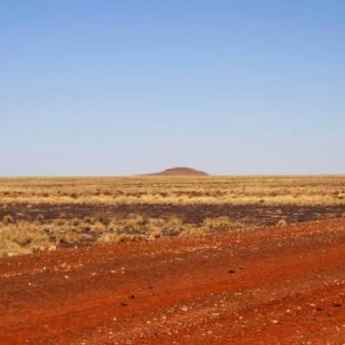 Astrebla Downs National Park