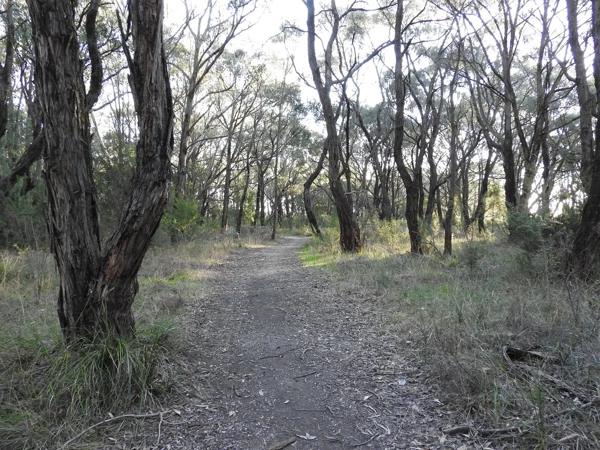 Ollerton Avenue Bushland Reserve